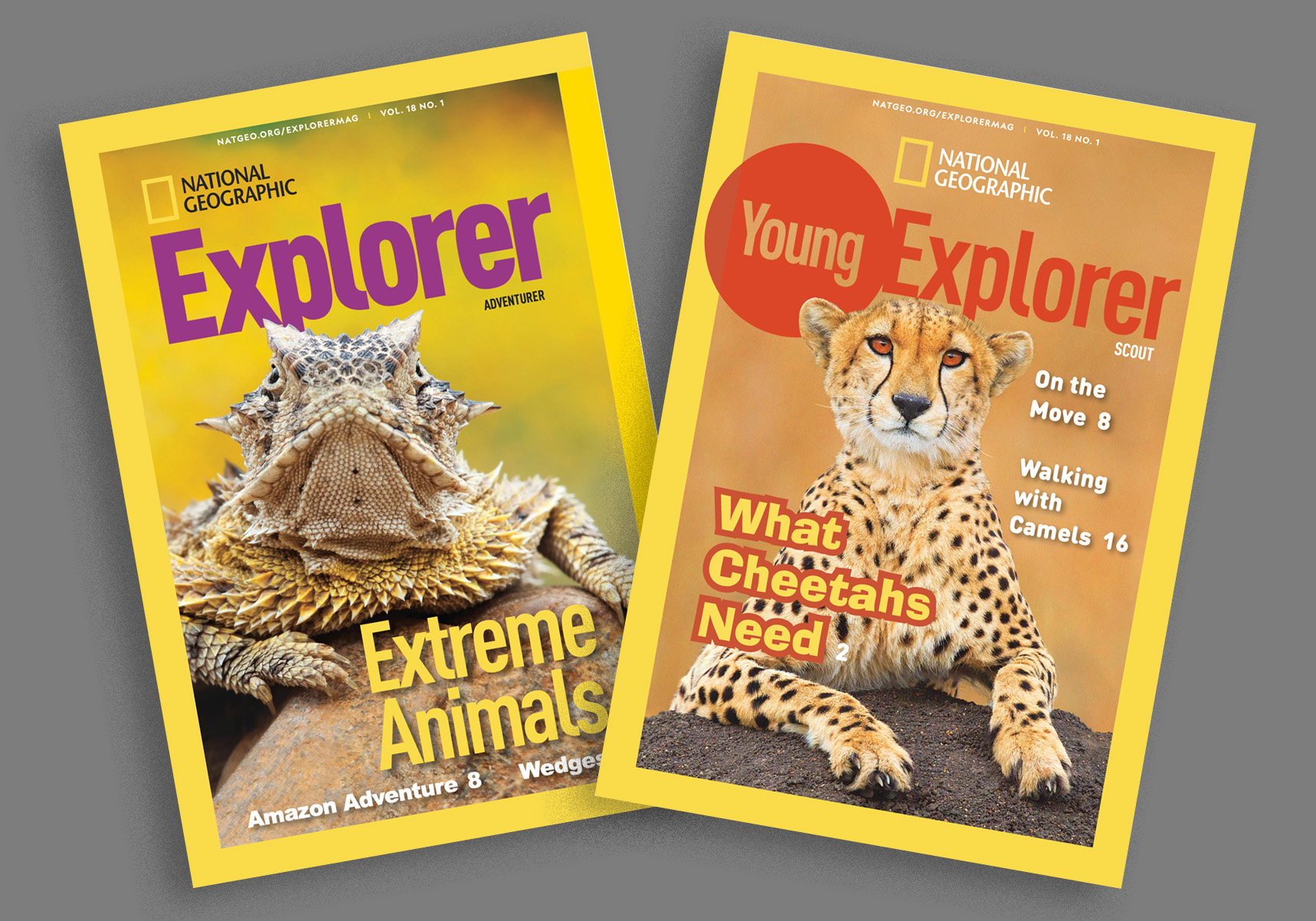 Explorer Magazine